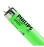 Philips MASTER TL-D 36W - Green | 120cm