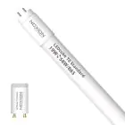 Noxion LED Tube T8 Avant (EM/Mains) Standard Output 22W 2300lm - 865 Daylight | 150cm - Replaces 58W